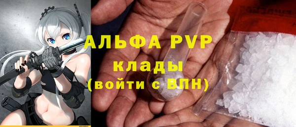 PSILOCYBIN Липки