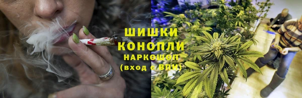 PSILOCYBIN Липки