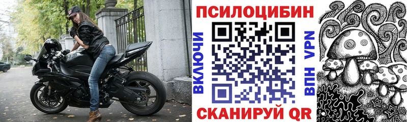 Галлюциногенные грибы Psilocybe  Себеж 